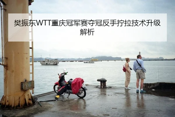 樊振东WTT重庆冠军赛夺冠反手拧拉技术升级解析