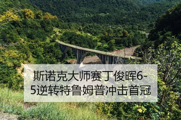 si-nuo-ke-da-shi-sai-ding-jun-hui-ni-zhuan-te-lu-mu-pu-chong-ji-shou-guan-2-533.jpg