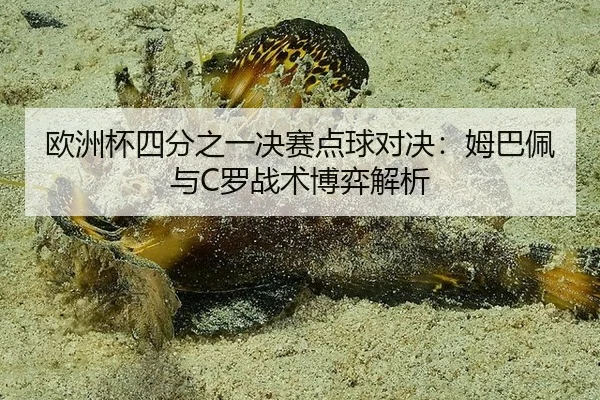 ou-zhou-bei-si-fen-zhi-yi-jue-sai-dian-qiu-dui-jue-mu-ba-pei-yu-luo-zhan-shu-bo-yi-jie-xi-2-760.jpg
