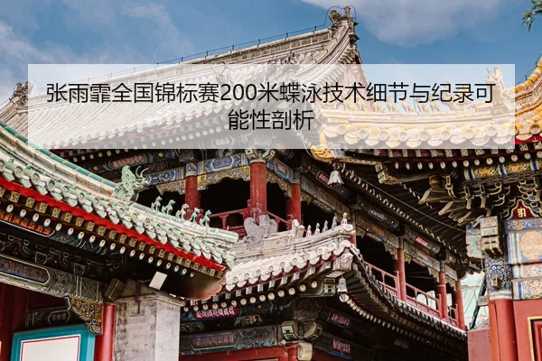 zhang-yu-fei-quan-guo-jin-biao-sai-mi-die-yong-ji-shu-xi-jie-yu-ji-lu-ke-neng-xing-pou-xi-2-131.jpg
