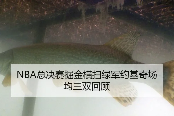 zong-jue-sai-jue-jin-heng-sao-lv-jun-yue-ji-qi-chang-jun-san-shuang-hui-gu-3-608.jpg